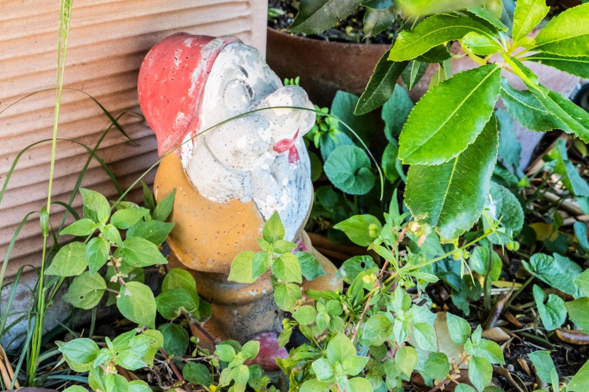 Agriturismo Giorgi Appartamenti In Riviera Ligure アルベンガ エクステリア 写真
