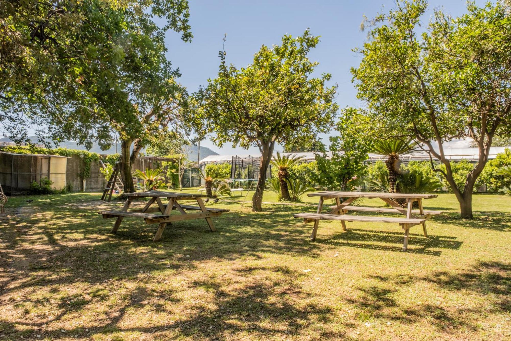 Agriturismo Giorgi Appartamenti In Riviera Ligure アルベンガ エクステリア 写真